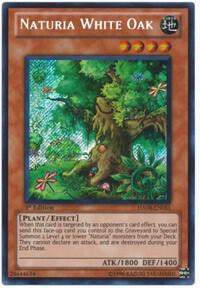 Naturia White Oak card image