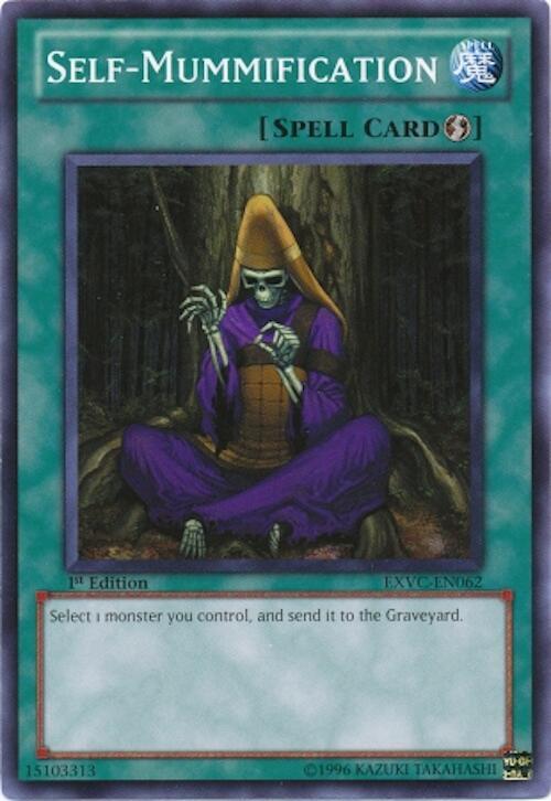 Self-Mummification card image