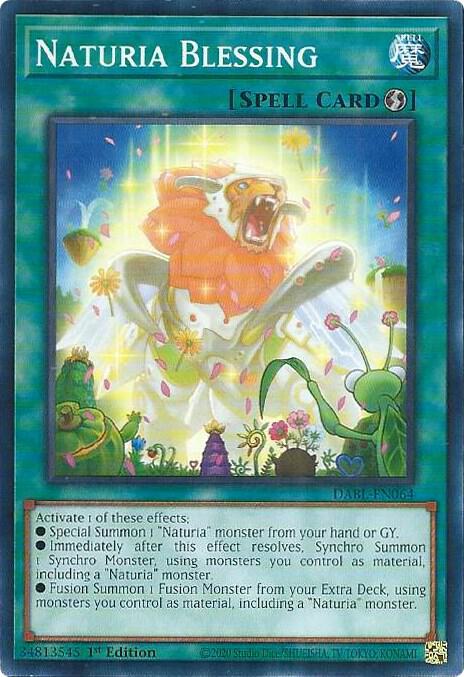 Naturia Blessing card image