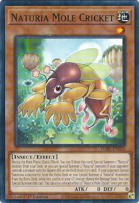 Naturia Mole Cricket card image