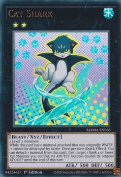 Cat Shark card image