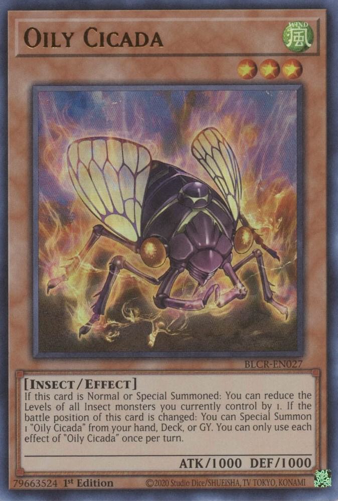 Oily Cicada card image