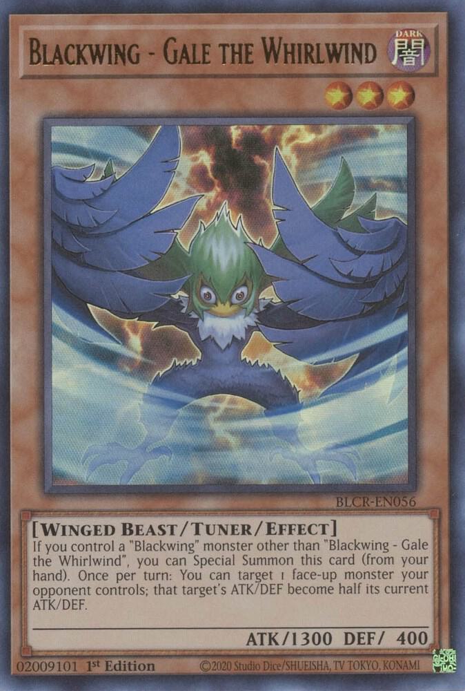 Blackwing - Gale the Whirlwind card image