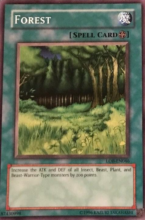 Forest card image
