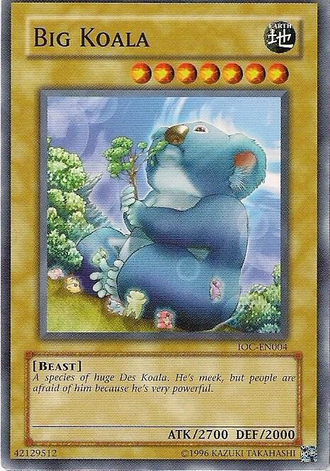 Big Koala card image