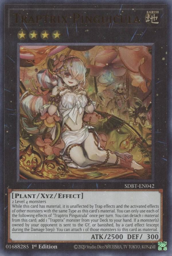 Traptrix Pinguicula card image