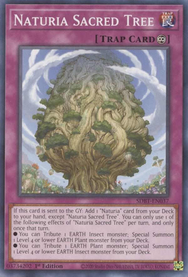 Naturia Sacred Tree card image