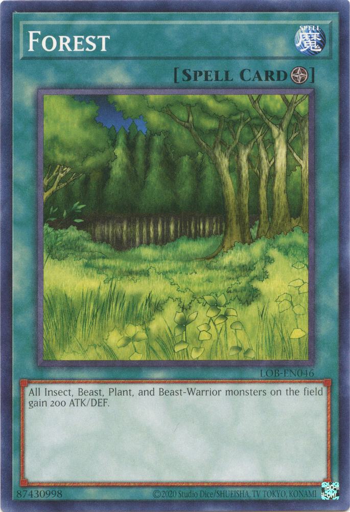 Forest card image