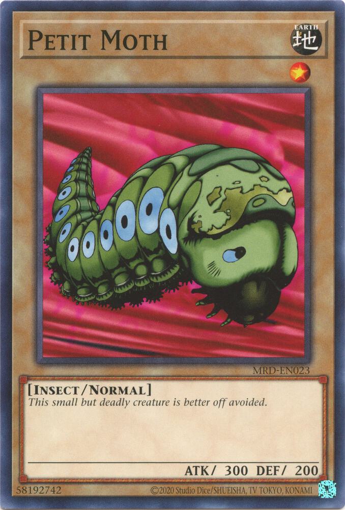 Petit Moth card image