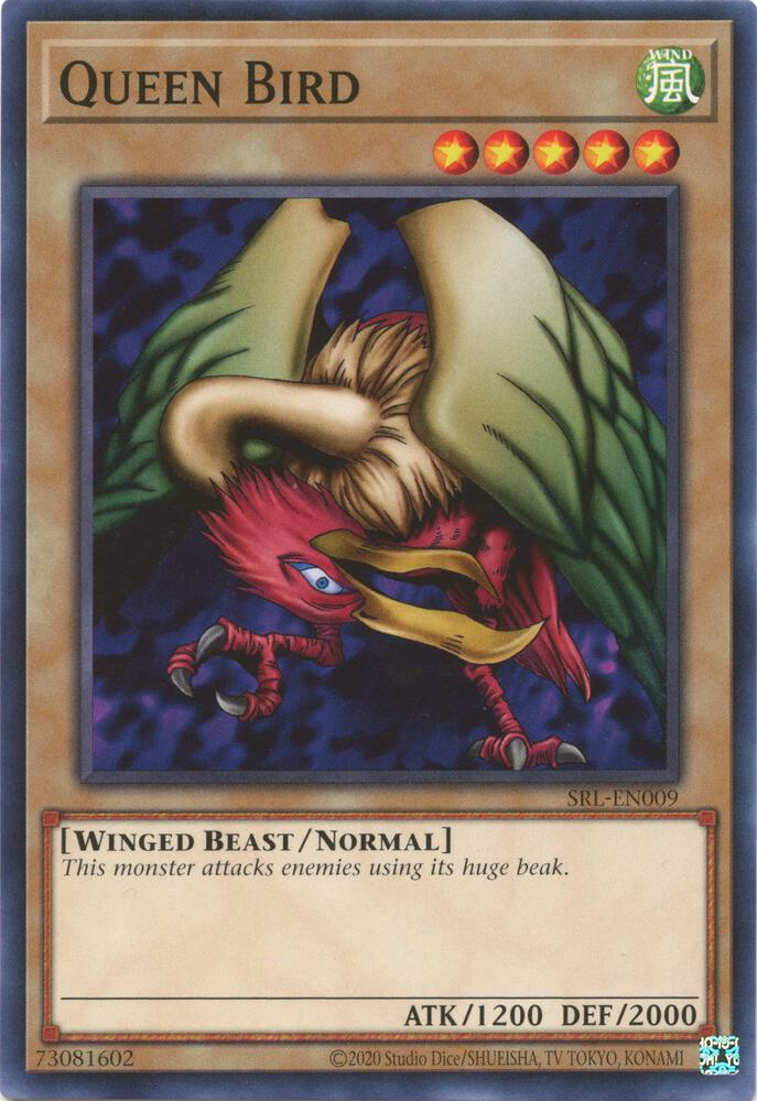 Queen Bird card image