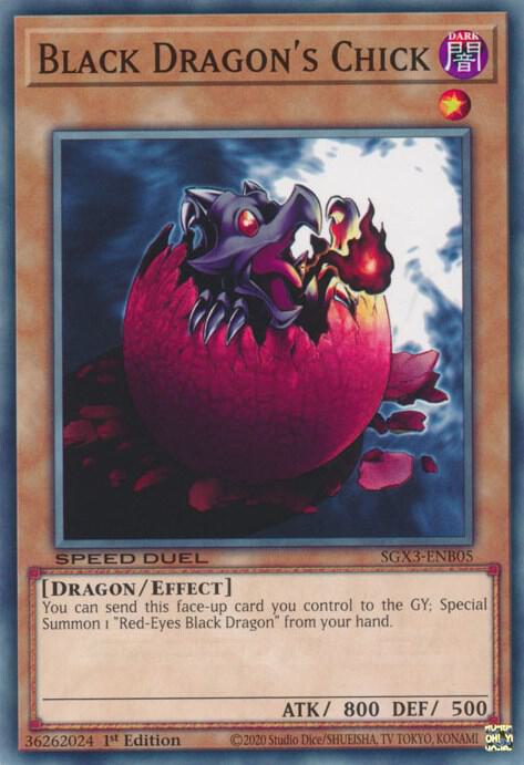 Black Dragon's Chick card image