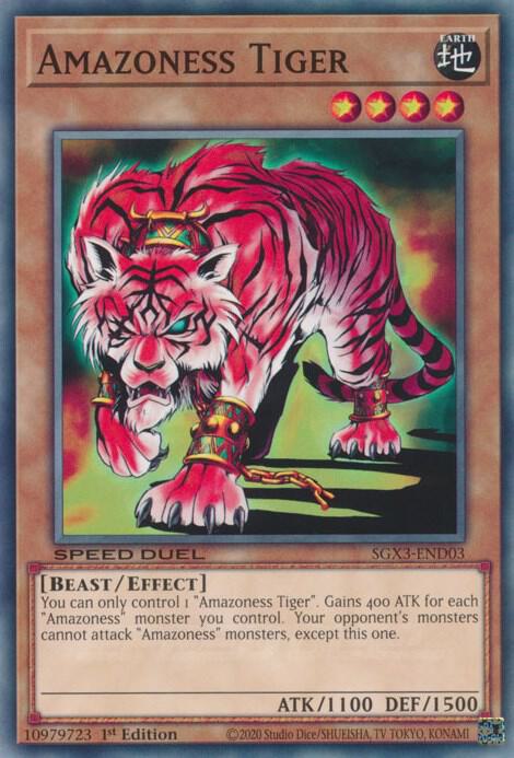 Amazoness Tiger card image
