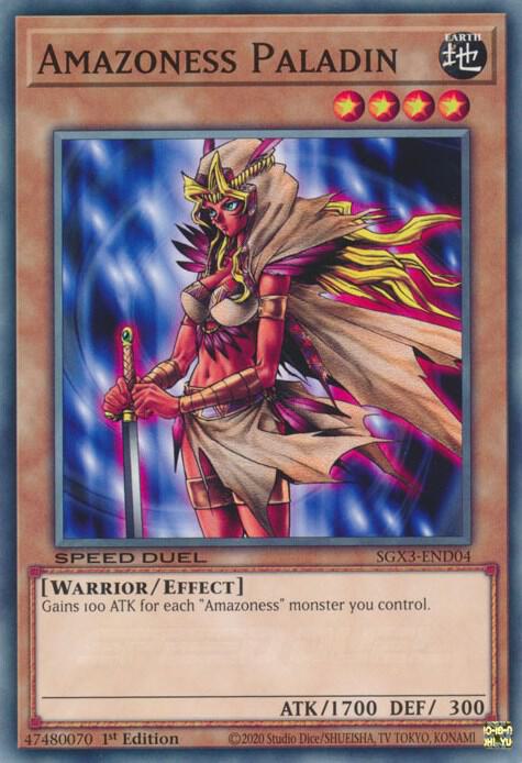 Amazoness Paladin card image