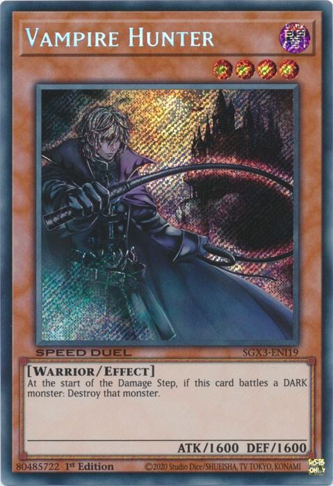 Vampire Hunter (Secret Rare) card image