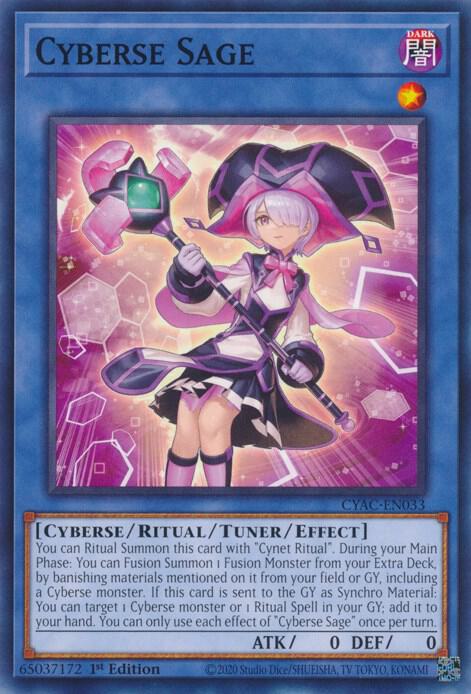 Cyberse Sage card image