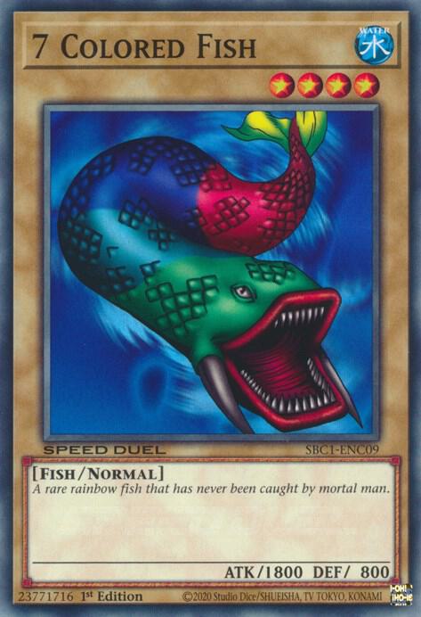 7 Colored Fish card image