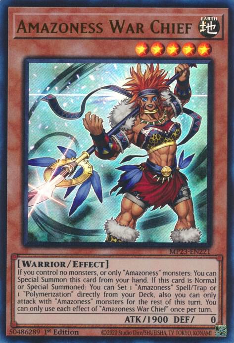 Amazoness War Chief card image