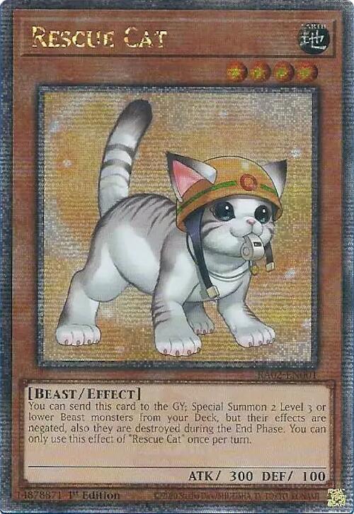 Rescue Cat (Alternate Art) (Quarter Century Secret Rare) card image