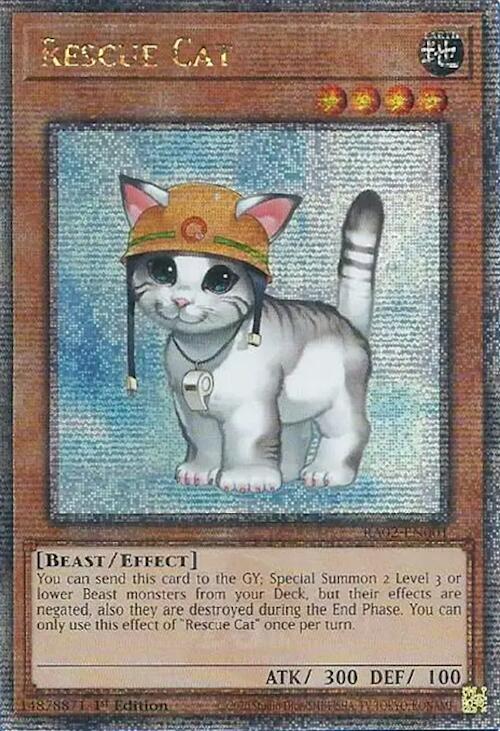 Rescue Cat (Quarter Century Secret Rare) card image