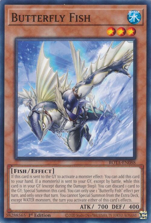 Butterfly Fish card image