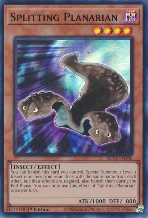 Splitting Planarian card image