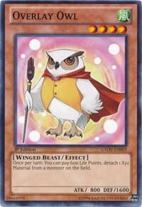 Overlay Owl card image