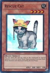 Rescue Cat card image