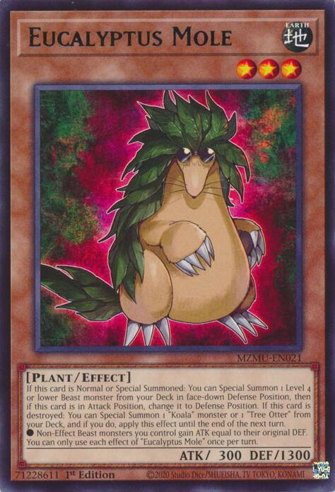 Eucalyptus Mole card image