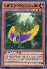 Mystic Macrocarpa Seed card image