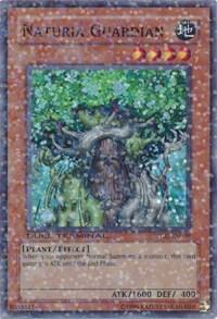 Naturia Guardian card image