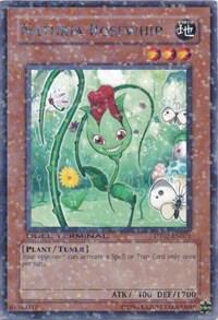 Naturia Rosewhip card image