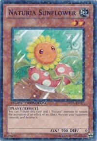 Naturia Sunflower card image