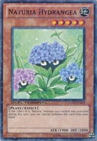 Naturia Hydrangea card image
