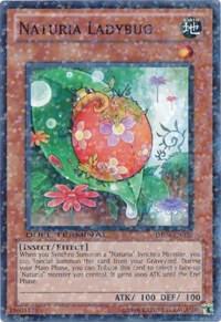 Naturia Ladybug card image