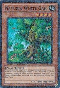 Naturia White Oak card image